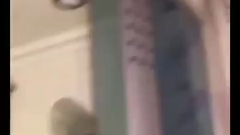 Quay video show hàng dâm quá trời